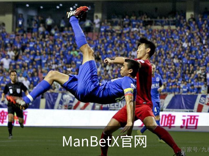 ManBetX官网概况